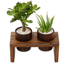 Load image into Gallery viewer, Indoor Modern Lightweight Wood Planters
