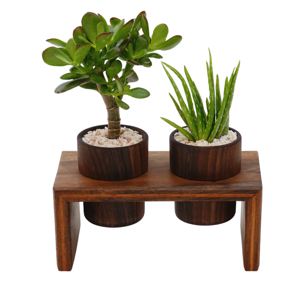 Indoor Modern Lightweight Wood Planters