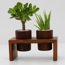 Load image into Gallery viewer, Indoor Modern Lightweight Wood Planters
