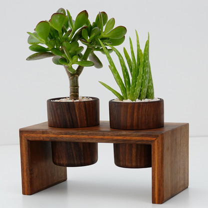 Indoor Modern Lightweight Wood Planters