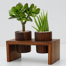 Load image into Gallery viewer, Indoor Modern Lightweight Wood Planters
