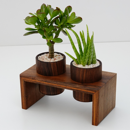 Indoor Modern Lightweight Wood Planters